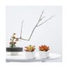 CQURE Succulents Plants Artificial Set of 4 Mini
