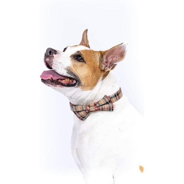 Juego de collar y correa para perro escoceses de tartán