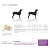 HDE Impermeable con capucha para perros y cachorros_6