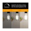 Ascher Bombillas LED regulables con diseño vintage