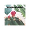 BEASTZHENG Funny Kitchen Reglas Metal Tin Sign Wall Art_5