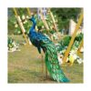 Estatua Chisheen de pavo real solar para jardín_1