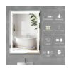 Butylux Espejo de baño iluminado con luz LED de 28 x 20_2
