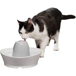 PetSafe Creekside Ceramic Pet Fountain_1