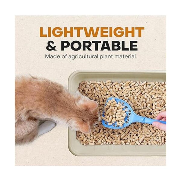 Caja de arena desechable Eco Friendly