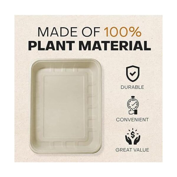 Caja de arena desechable Eco Friendly
