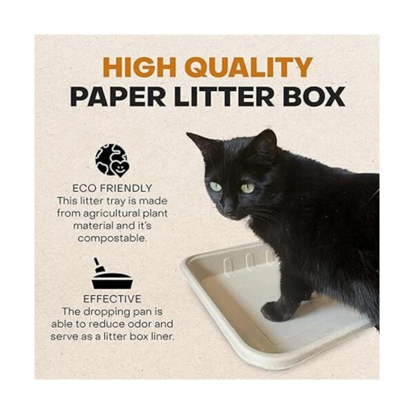Caja de arena desechable Eco Friendly