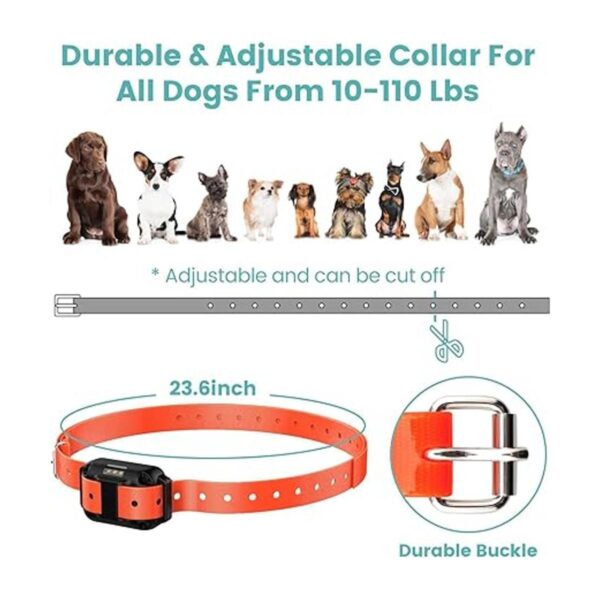 Collar de entrenamiento para perros collar de perro_5