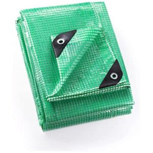 GUARD SHIELD Lona verde transparente resistente de 20 x 20