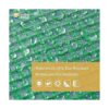 GUARD SHIELD Lona verde transparente resistente de 20 x 20