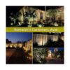 Outdoor Landscape Lighting 10WRomwish 120V AC LED_3