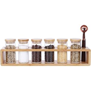 KKC HOME ACCENTS Juego de 6 tarros de especias de vidrio_1