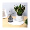 Ebristar Botella de cristal para plantas con pulverizador