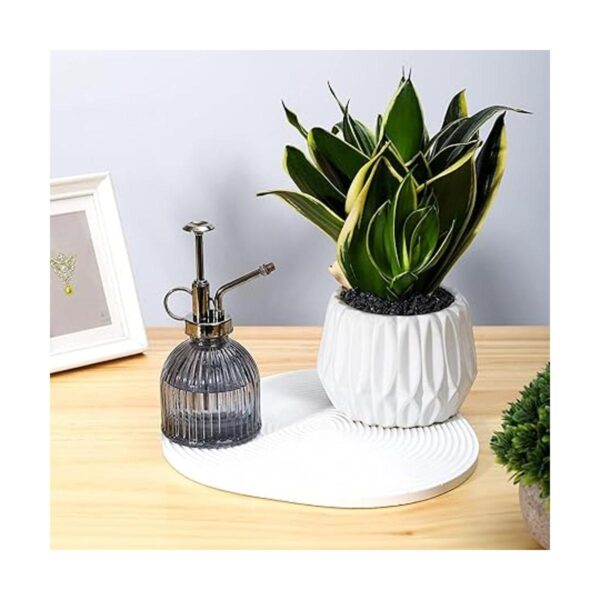 Ebristar Botella de cristal para plantas con pulverizador
