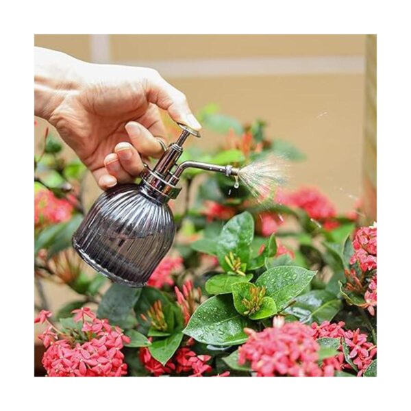 Ebristar Botella de cristal para plantas con pulverizador