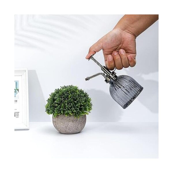 Ebristar Botella de cristal para plantas con pulverizador