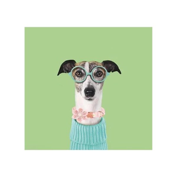 Babole Pet Collar de perro collar de flor de margarita
