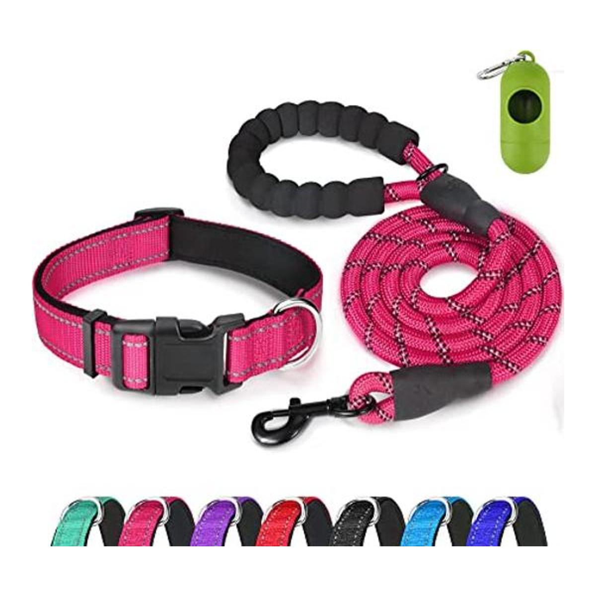 Dynmeow Juego de collar y correa reflectante para perro