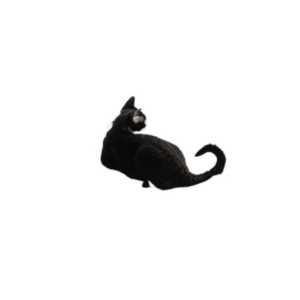 Percha para ventana de gato resistente con marco de acero_1