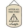 Open Road Brands Harry Potter After All This Time_1