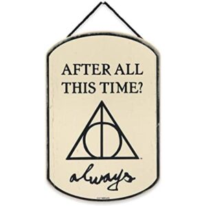 Open Road Brands Harry Potter After All This Time_1