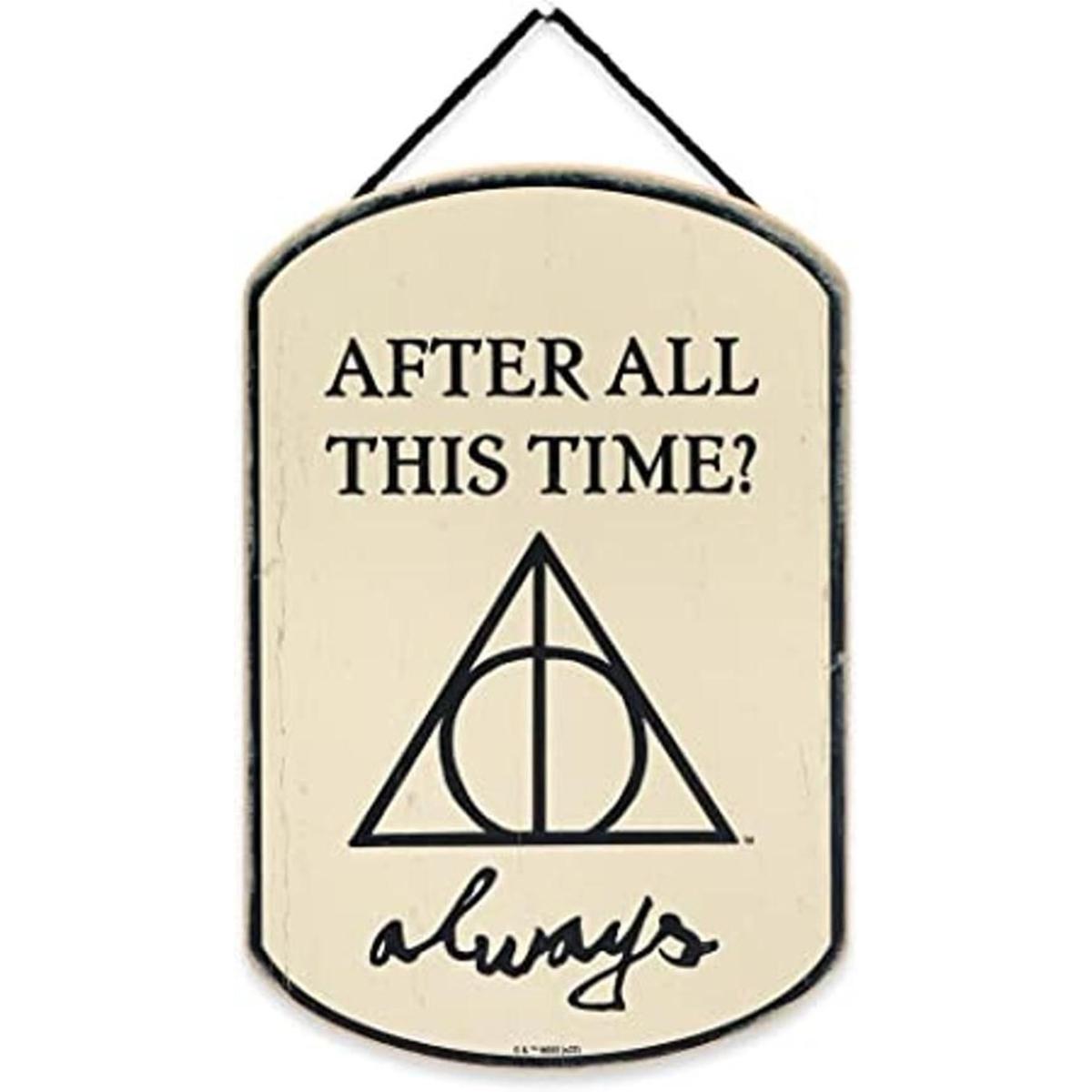 Open Road Brands Harry Potter After All This Time