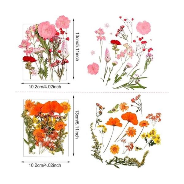 Flores prensadas de resina para molde de resina hojas de_3