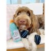 Juguetes divertidos para perros de fitness Parodia de