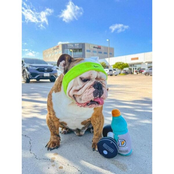 Juguetes divertidos para perros de fitness Parodia de