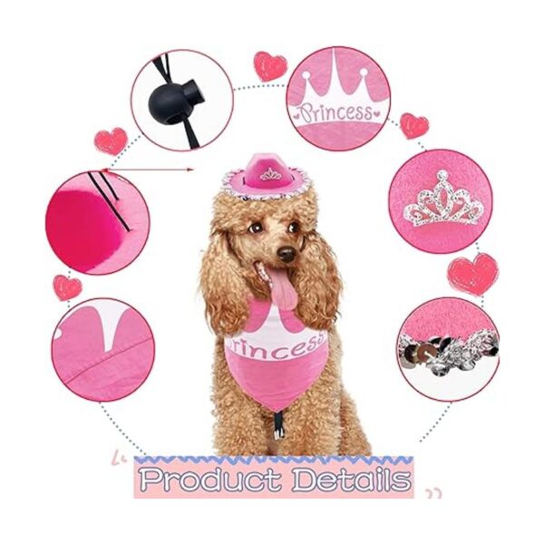 PET SHOW Juego de 2 sombreros de vaquero para perros