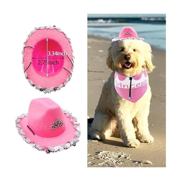 PET SHOW Juego de 2 sombreros de vaquero para perros