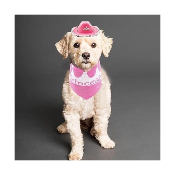PET SHOW Juego de 2 sombreros de vaquero para perros