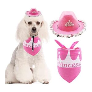 PET SHOW Juego de 2 sombreros de vaquero para perros
