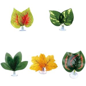 Plantas de reptiles hojas plantas de terrario hábitat