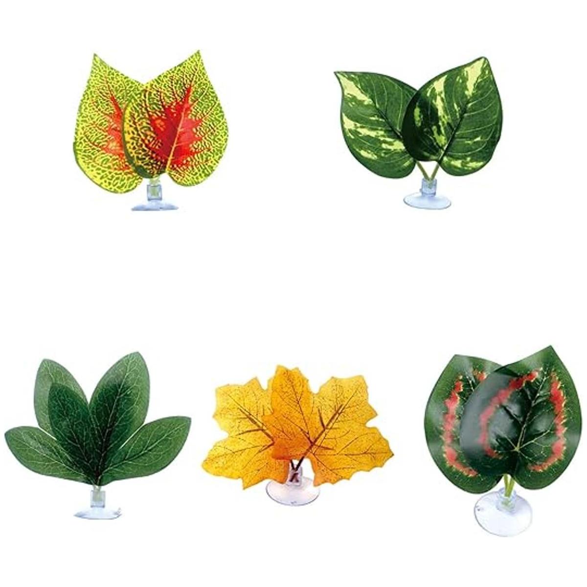 Plantas de reptiles hojas plantas de terrario hábitat