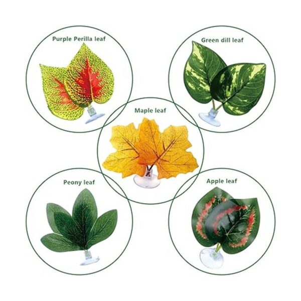 Plantas de reptiles hojas plantas de terrario hábitat