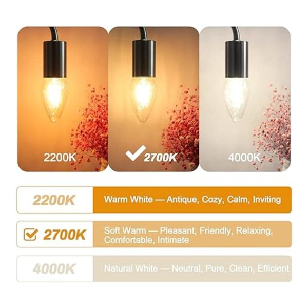BRIMAX Bombillas LED F15 de 4 W para porche al aire libre_2