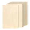 JOIKIT 24 hojas de madera de tilo de 12 x 8 x 116
