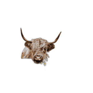 Divertida cortina de ducha de vaca de las tierras altas de