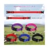 GINDOOR Paquete de 5 collares de cabra con campanas