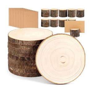 Caydo 10 piezas grandes de madera de Paulownia de 9 a 11