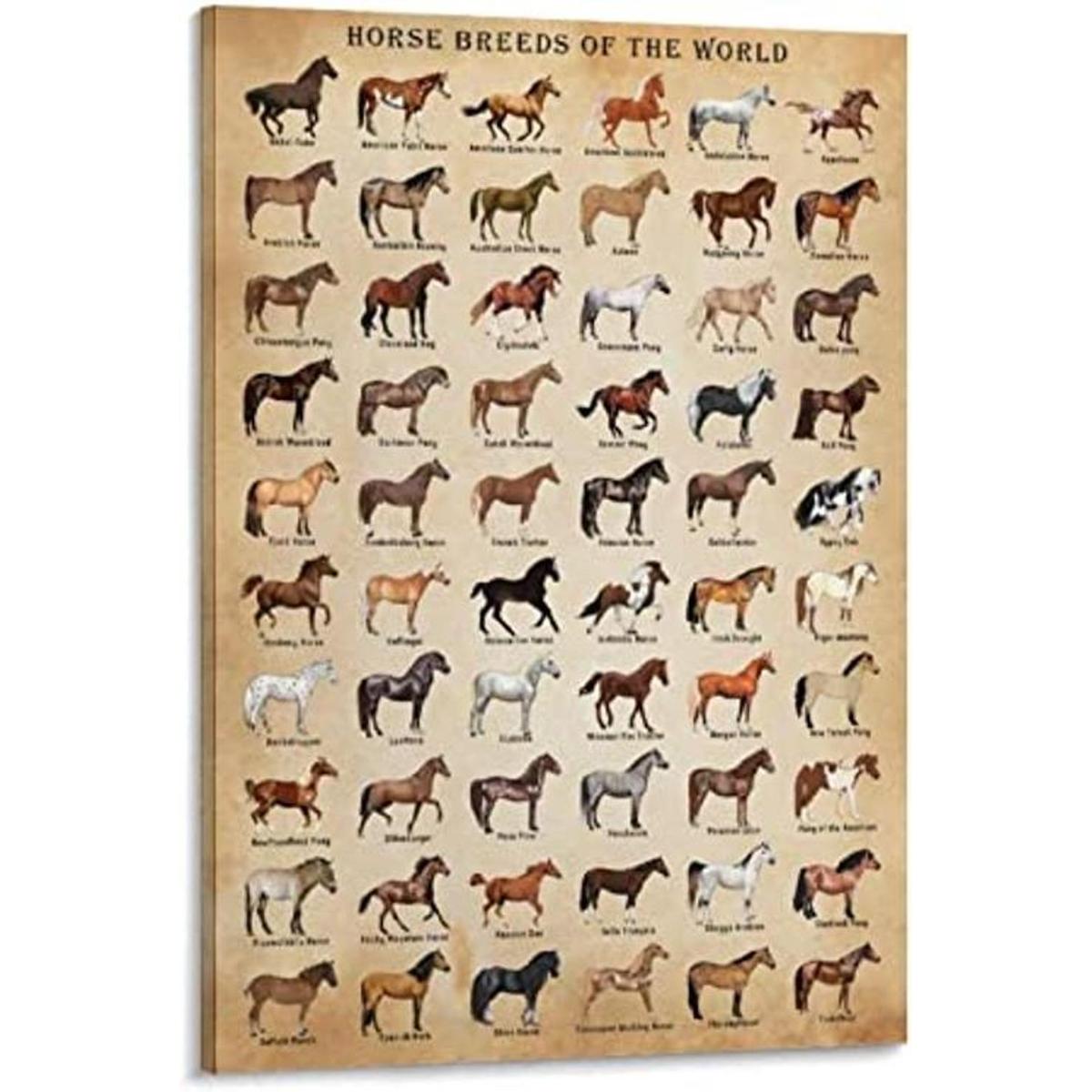 Póster enmarcado de razas de caballos del mundo de Horse