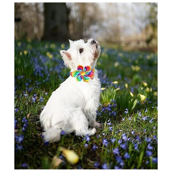 DOGWONG Collar de perro de algodón arcoíris con flor_5