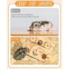 Juguetes de forraje de conejillo de indias juguetes_6