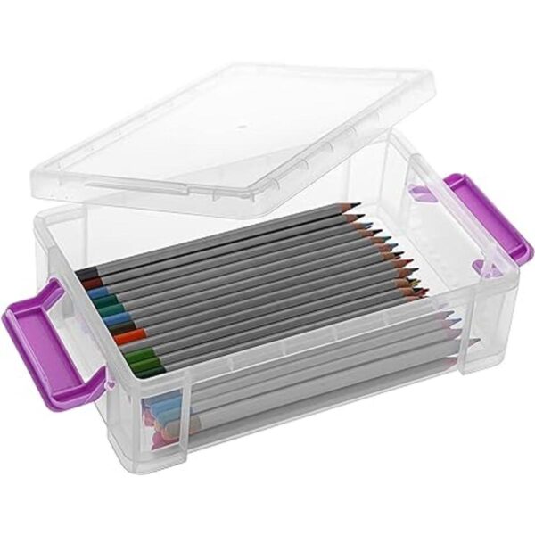 BTSKY Paquete de 4 cajas de plástico de gran capacidad
