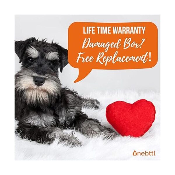 Regalos de cumpleaños para Schnauzer Mom Schnauzer Lovers