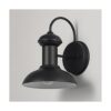 Globe Electric 44862 Aplique de pared para interiores y