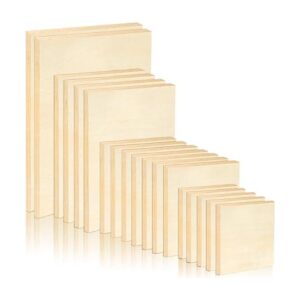 Paquete de 18 paneles de lienzo de madera sin terminar