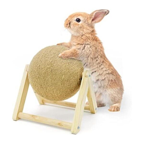 Fhiny Rabbit Scratch Toy Natural Solid Wood Sisal_1