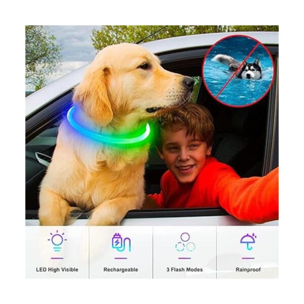 Collares de perro iluminados collar de perro LED_2